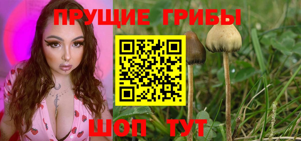 Псилоцибиновые грибы прущие грибы Касимов